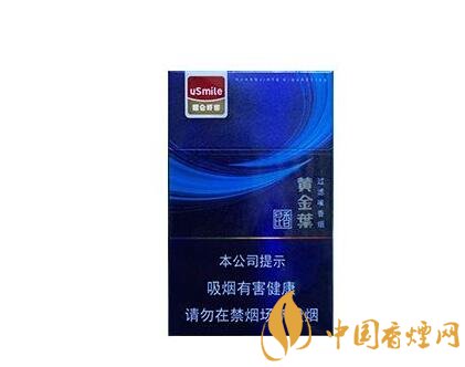 过年描写烟花的片段作文300字怎么写的-描写烟花的范文