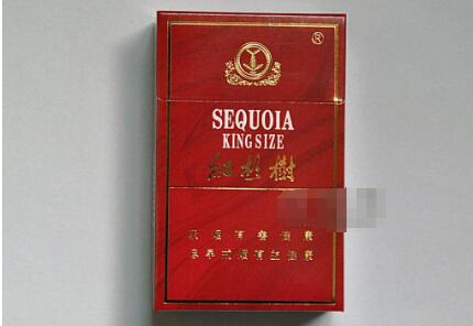 室外烟管效果图大全